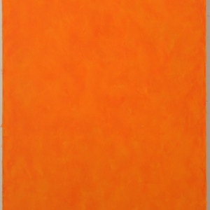 # 23 Se Orange, 2013, 39 x 27.5 in. 100 x 70 cm